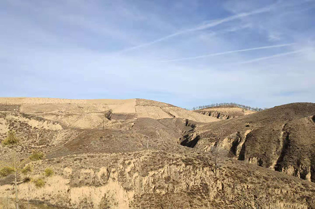 陜西省市場監(jiān)管局食品安全監(jiān)督抽檢項目_廣電計量