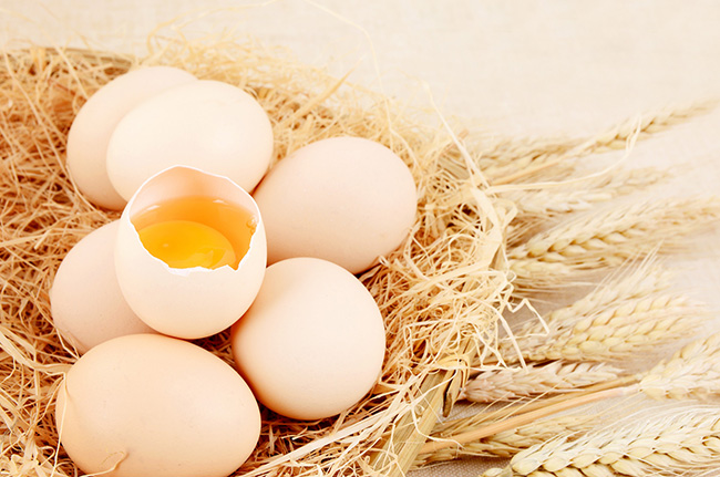 雞蛋檢測(cè)：氟苯尼考、恩諾沙星等獸藥殘留的解讀_廣電計(jì)量